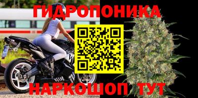 PSILOCYBIN Кандалакша